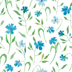 Watercolor floral seamless pattern with painted blue flowers, cornflowers. Hand drawing  illustration isolated on white background. Vector EPS.