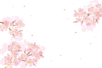 Obraz na płótnie Canvas Cherry blossom flowers background illustration 