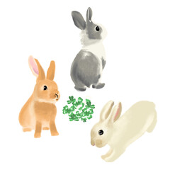 rabbits and clover on white