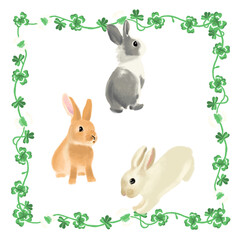 rabbit in the clover frame