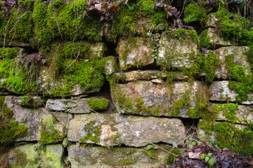 Moos bewachsene Mauer 