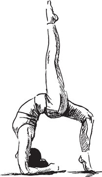 Hand drawn sketch of an exercising woman. Vector illustration.
