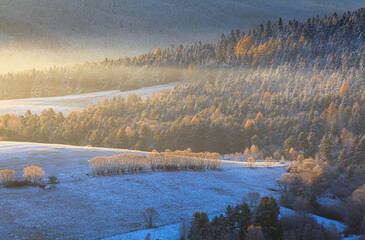 frosty winter morning in the Low Beskids - obrazy, fototapety, plakaty