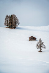 Alta Val Badia in winter. The village of La Val surrounded by the Dolomites.  - 576235815