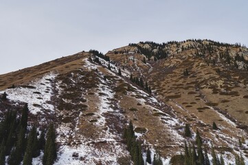 landscape in the winter