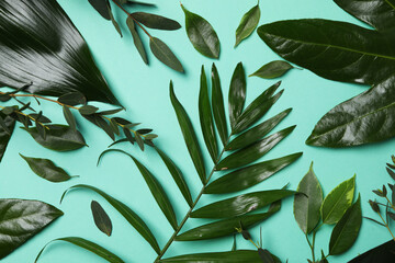 Concept of summertime, leaves, summer and nature concept