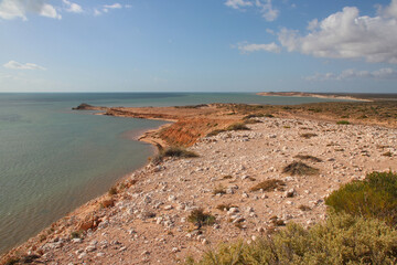 Eagle Bluff - Shark Bay - Australia