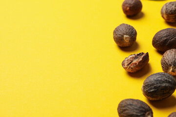 Concept of spices and condiments, nutmegs, space for text