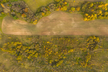 Drone photography of farmland and forest