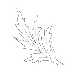 Foliage. Leaves of plants. Ieaf that fell from a tree. Design element.