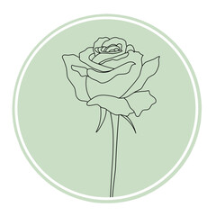 Rose line art on green background 
