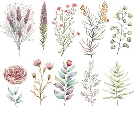 watercolor botanical elements for eye catching invitation card generative ai