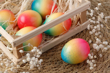 Easter painted colorful natural chicken eggs in wooden basket box with dried hay and flowers on rustic background.