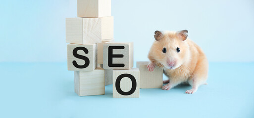 Hamster portrait on a blue background focus on nose with seo text on wooden blocks.