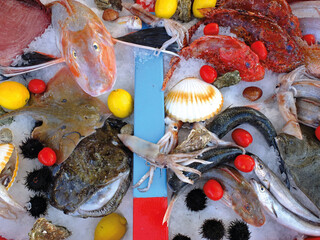Fische aus dem Mittelmeer