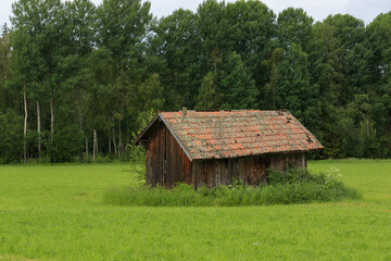 Fototapeta na wymiar old crumbling wooden cabin in a field