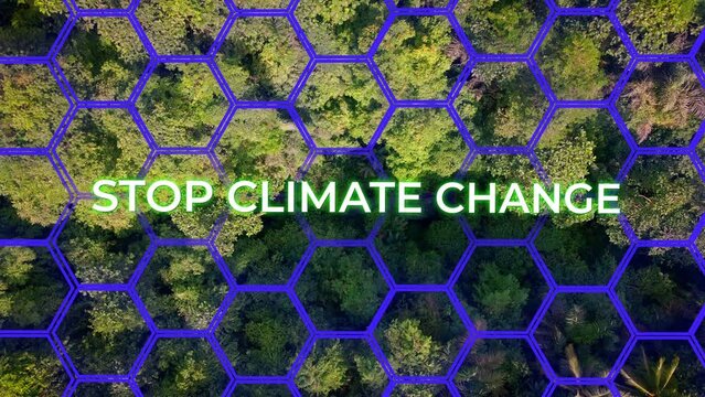 Stop Climate Change Motivational Text In Dense Jungle Forest Trees During Sunrise.Aerial Drone 4K topdown,