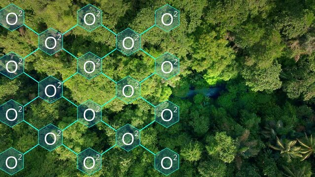 Dioxygen (O2) Oxygen Guard Appearing Over The Trees In The Forest. - aerial graphics