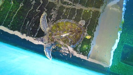 It may take up to 3 days for your approved content to be viewable elsewhere on the site.