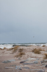 Baltic Sea, winter baltic sea, sea in poland,  waves, storm, seagulls, poland