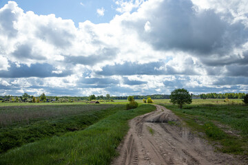 Peyhaage is from the field and forest in the distance, a sandy road and a small tree on the side of the road.