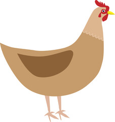 Domestic chicken. Chicken coop. Vector illustration.