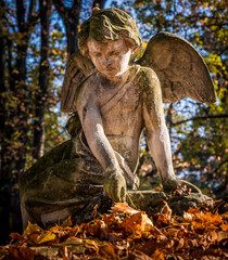 Angel stone statue in old cemetery with autumn leaves