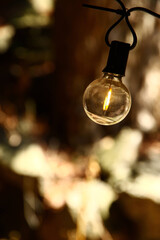 私たちの住む地球の環境を守りエコな活動を持続する、Our Planet