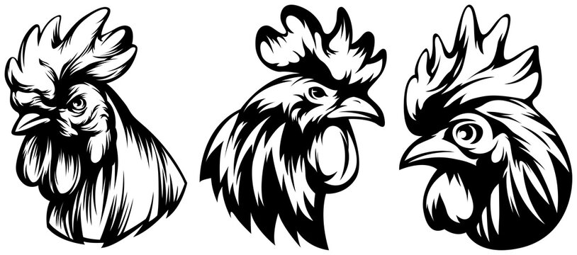 Head of rooster set. Cock abstract character illustration. Graphic logo designs template for emblem. Image of portrait for company use.