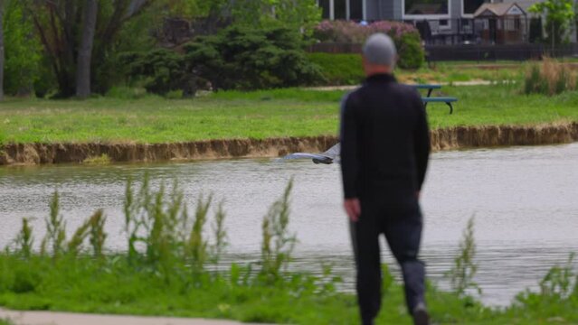 Slow Motion Panning Shot Of Great Blue Heron Flying Over Lake While Man Walking In Park - Arvada, Colorado