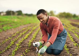 Taking care with every seed. Full length shot of a handsome young male farmer planting seeds in his vineyard.