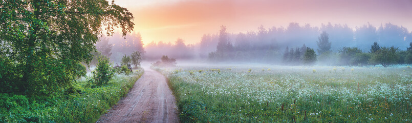 Country gravel road in fog in natural park in summer.