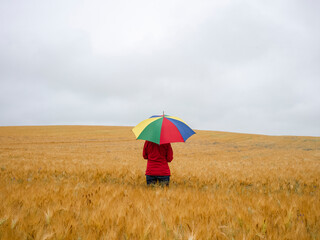 Frau Regenschirm Kornfeld Herbst