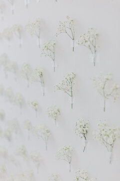 Flower pattern on the white wall © Света 