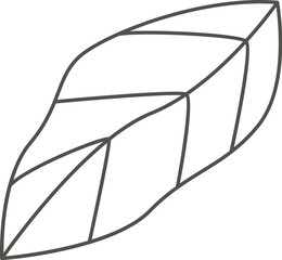 Tropical plant leaf line art design element