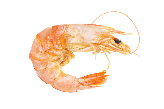 Dried shrimp isolated on white background