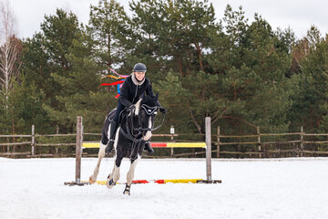 A rider on a horse jumps over the barrier in the arena in winter. A girl in black clothes sits on a...