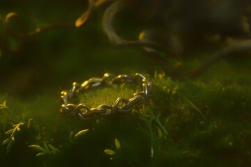 Enchanted twisted druid ring lies in the forest blurred defocused background wallpaper forest and moss 