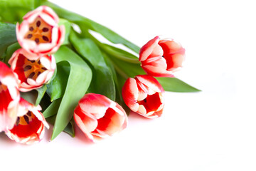 Tulips bouquet. Holiday floral decor.