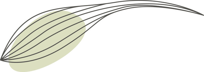 Tropical plant in line art with green blot