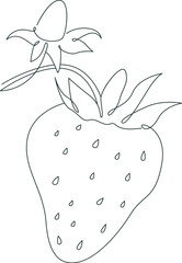 Organic tasty strawberries in line art Design element