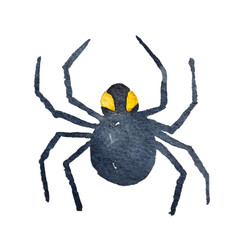spider on a white background