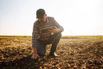 Male hands touching soil and checks quality of soil before sowing. Smart farm. Agriculture, gardening or ecology concept.