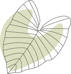 Tropical plant in line art with green blot