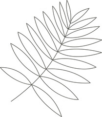Palm leaf of tropical plant line art design element