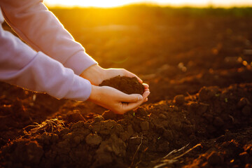 Hands touching soil on the field and checking soil health before growth a seed of vegetable or plant seedling. Business or ecology concept.
