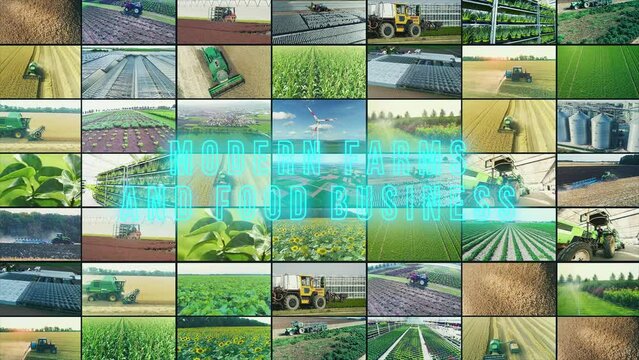 Farm business infographic. Modern farms and food business. Modern farms and food business infographics. Modern farms and food business multiscreen