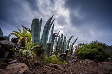 Teno-Gebirge, El Palmar, Masca, Teneriffa