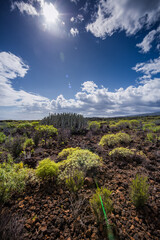 Malpaís de Güímar, Candelaria, Teneriffa