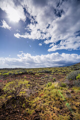 Malpaís de Güímar, Candelaria, Teneriffa